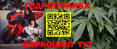 ПСИЛОЦИБИНОВЫЕ ГРИБЫ Кунгур