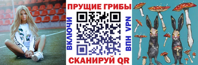 Галлюциногенные грибы MAGIC MUSHROOMS  ссылка на мегу ТОР  Зеленогорск 
